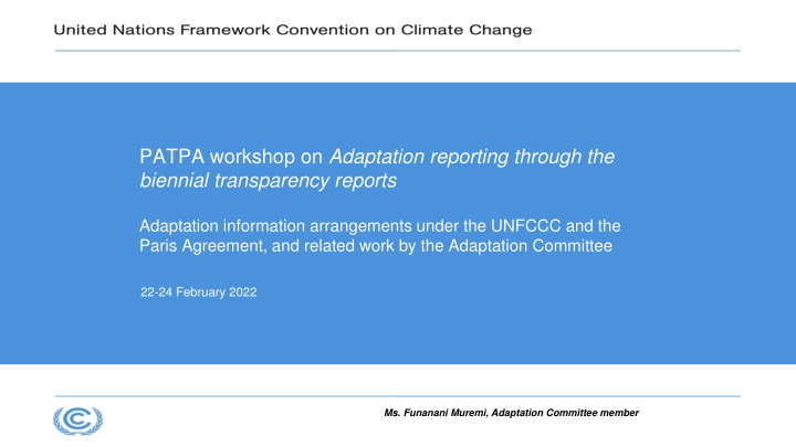 patpa workshop on adaptation reporting through