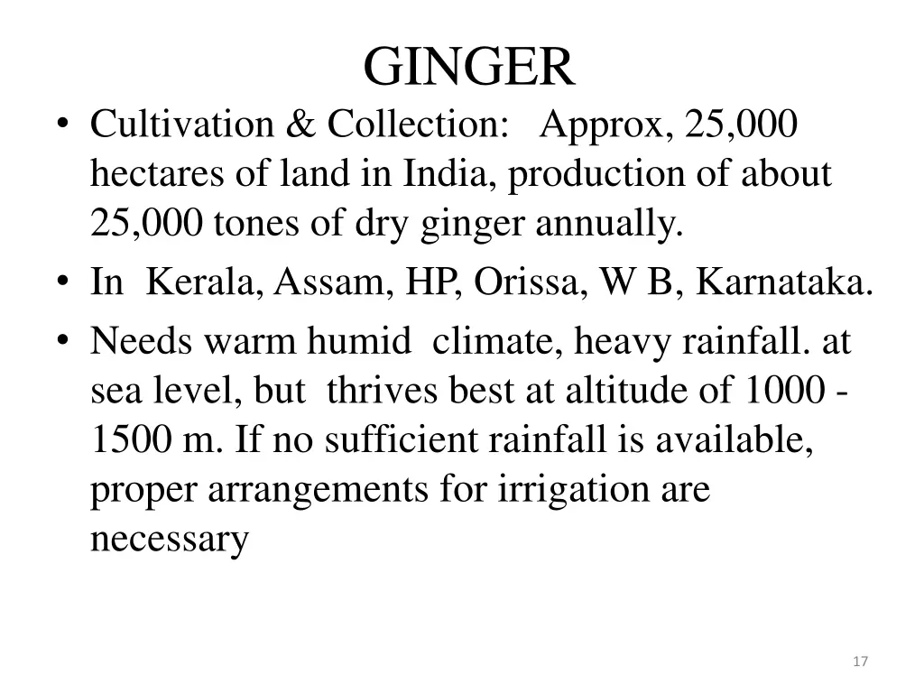 ginger 1