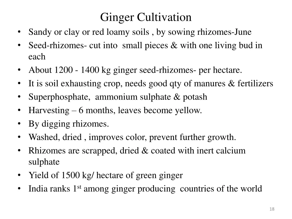 ginger cultivation