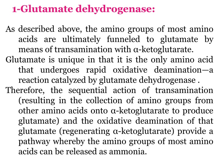 1 glutamate dehydrogenase