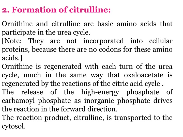 2 formation of citrulline