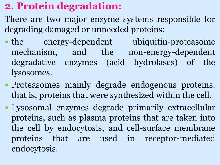 2 protein degradation there are two major enzyme