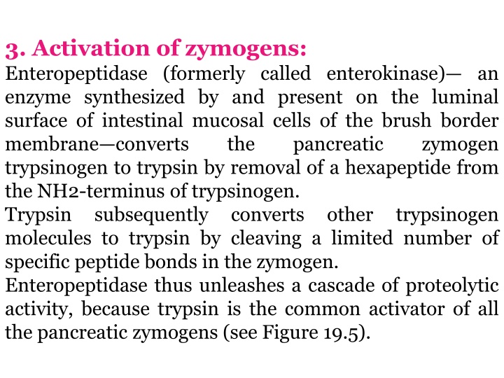 3 activation of zymogens enteropeptidase formerly