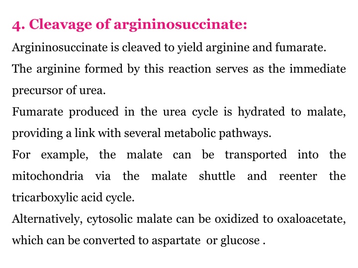 4 cleavage of argininosuccinate