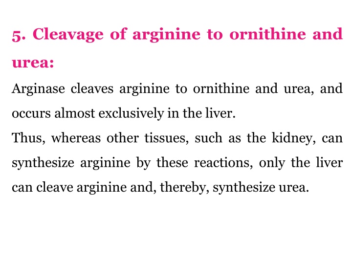 5 cleavage of arginine to ornithine and