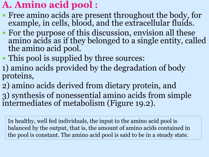 a amino acid pool free amino acids are present