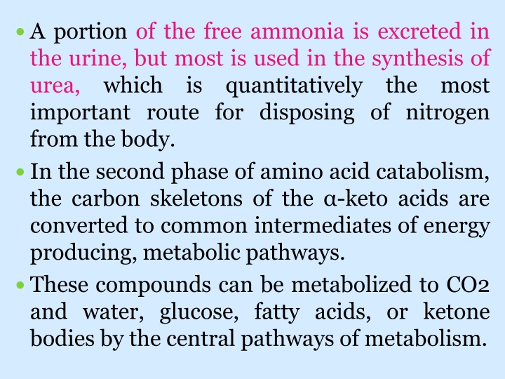 a portion of the free ammonia is excreted