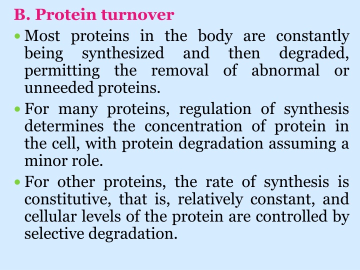 b protein turnover most proteins in the body