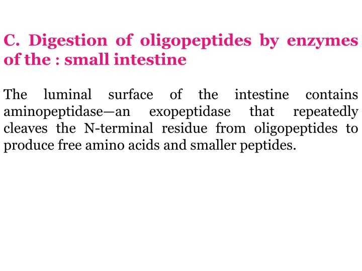 c digestion of oligopeptides by enzymes