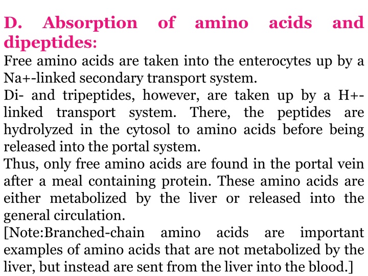 d dipeptides free amino acids are taken into