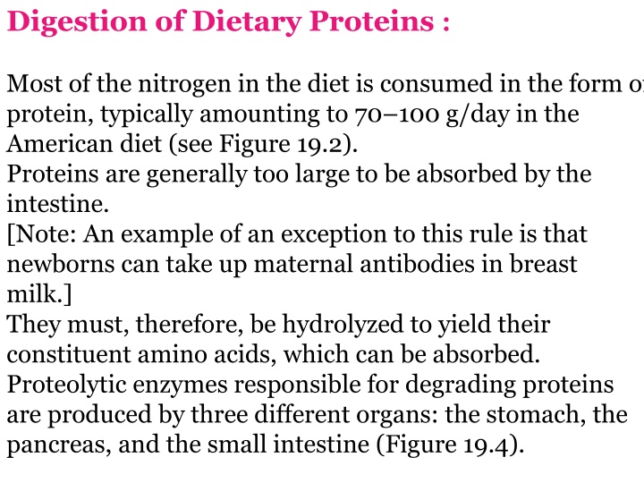 digestion of dietary proteins