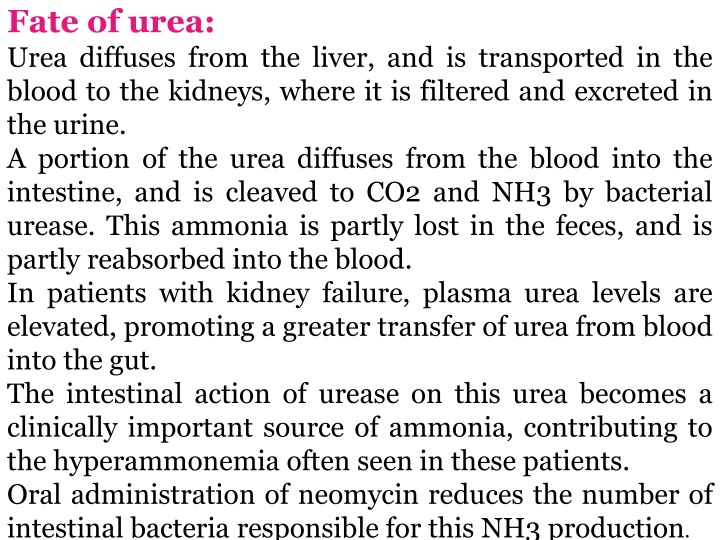 fate of urea urea diffuses from the liver