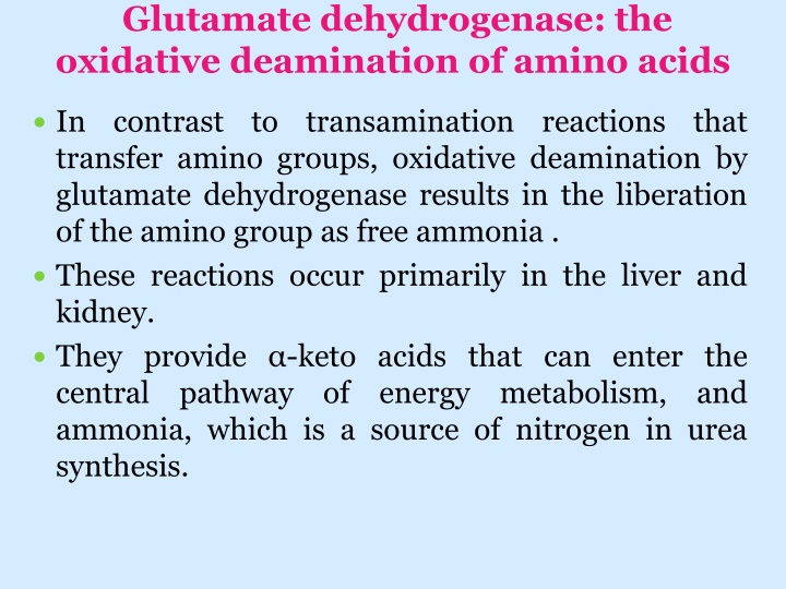 glutamate dehydrogenase the oxidative deamination