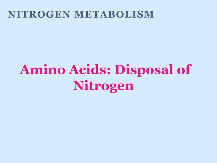 nitrogen metabolism