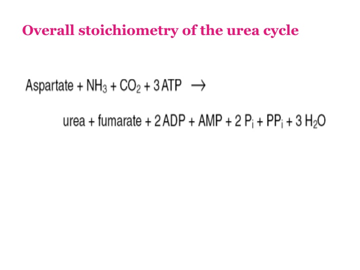 overall stoichiometry of the urea cycle