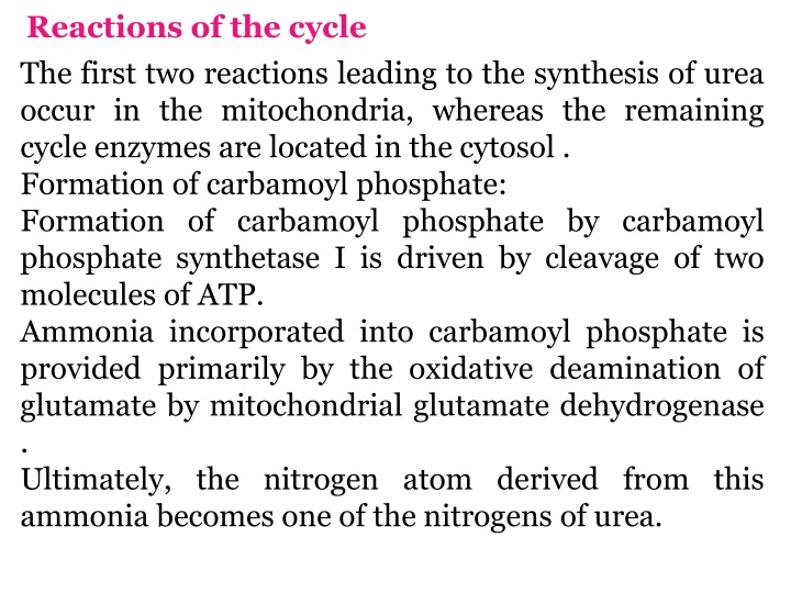 reactions of the cycle the first two reactions