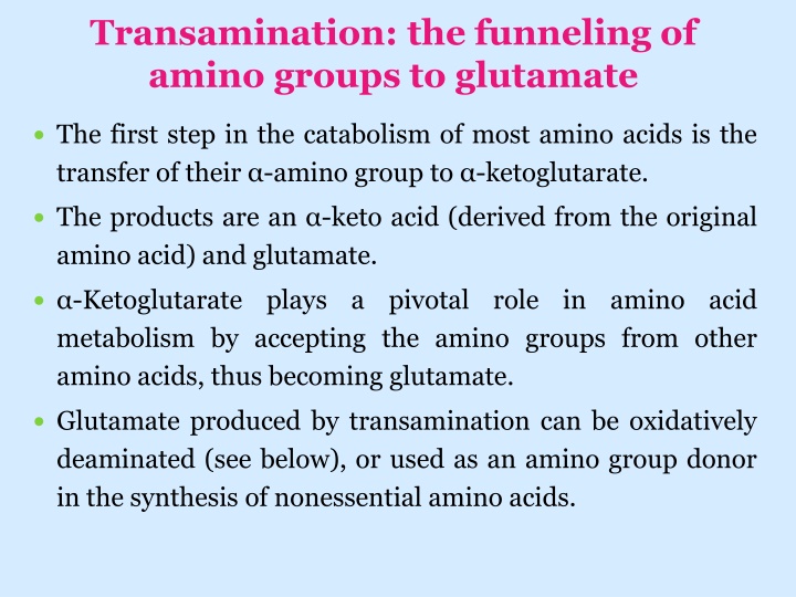 transamination the funneling of amino groups