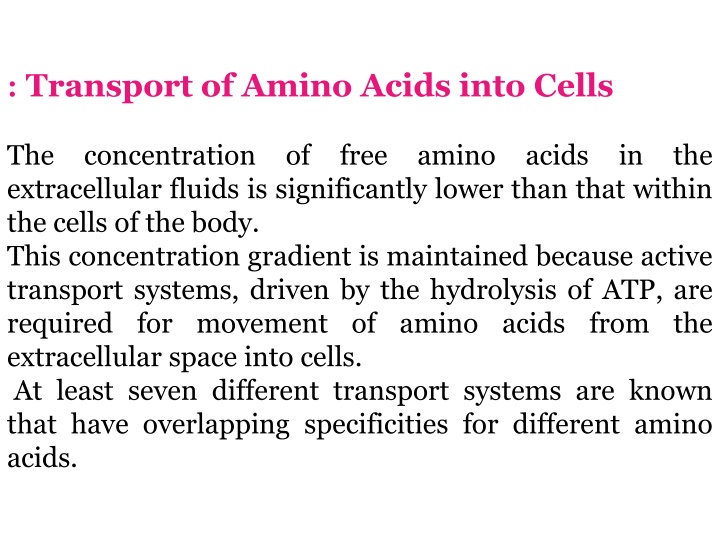 transport of amino acids into cells