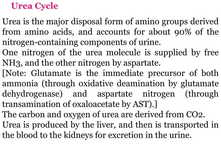 urea cycle