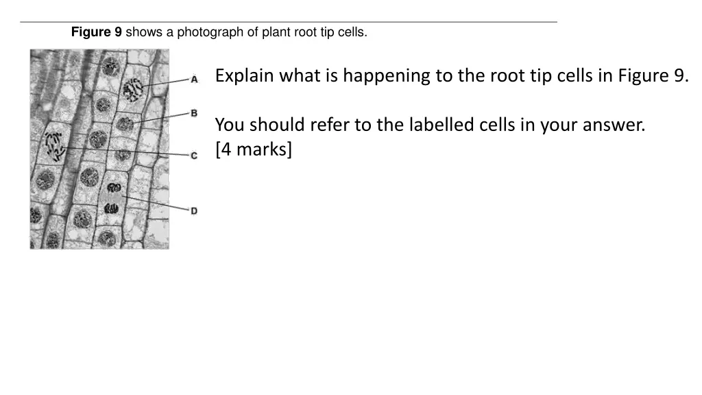 figure 9 shows a photograph of plant root