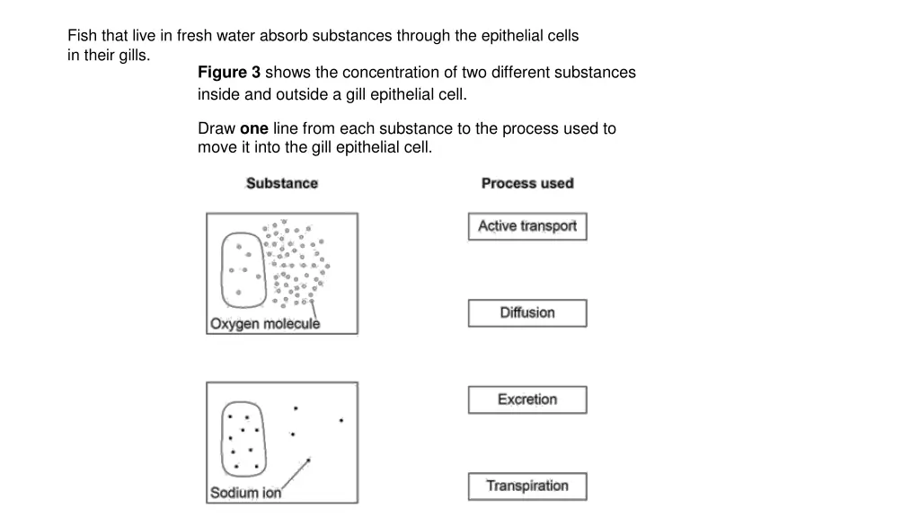 fish that live in fresh water absorb substances