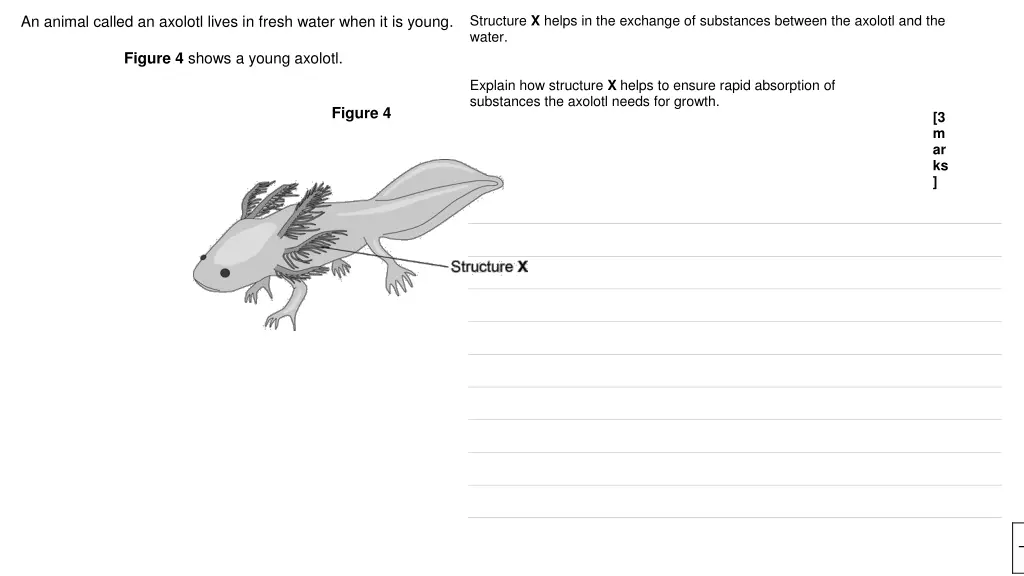 structure x helps in the exchange of substances