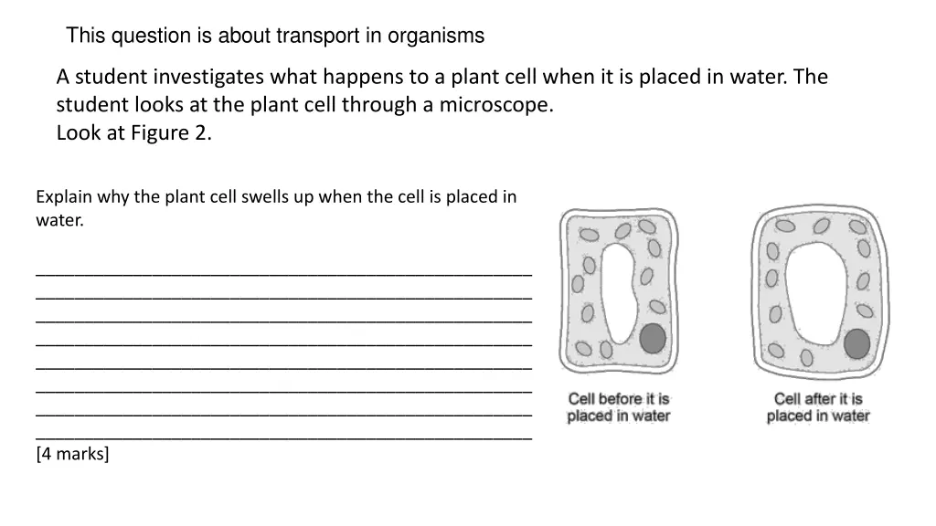 this question is about transport in organisms