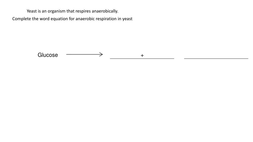 yeast is an organism that respires anaerobically