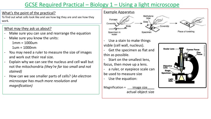 gcse required practical biology 1 using a light