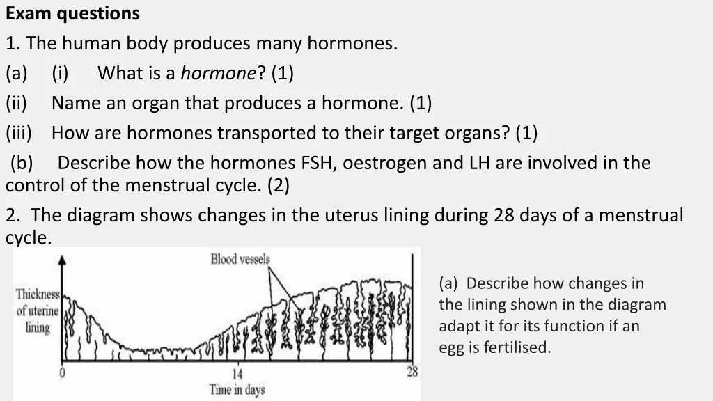 exam questions 1 the human body produces many