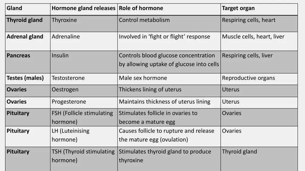 gland