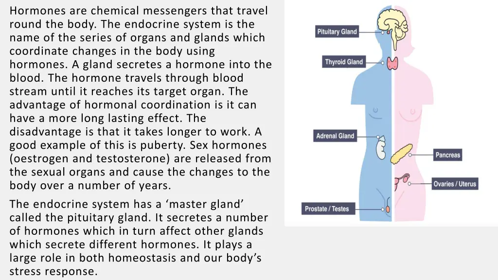 hormones are chemical messengers that travel