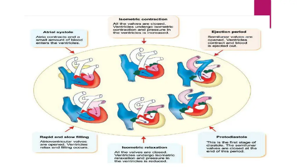 slide7