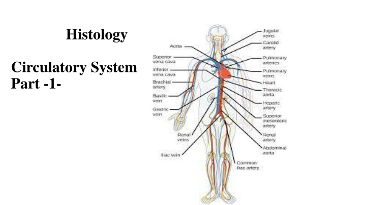 histology