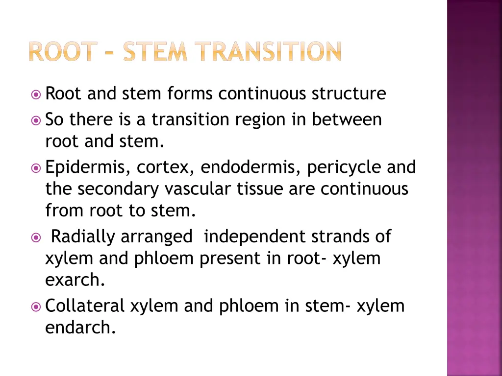 root stem transition 1