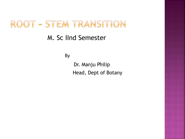 root stem transition