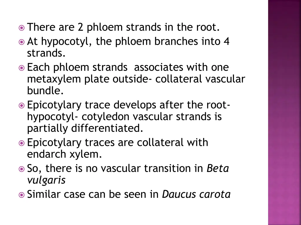 there are 2 phloem strands in the root