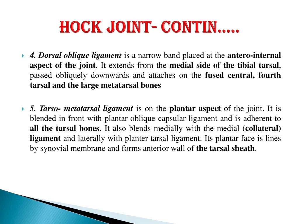 4 dorsal oblique ligament is a narrow band placed