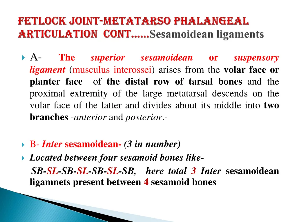 a ligament musculus interossei arises from