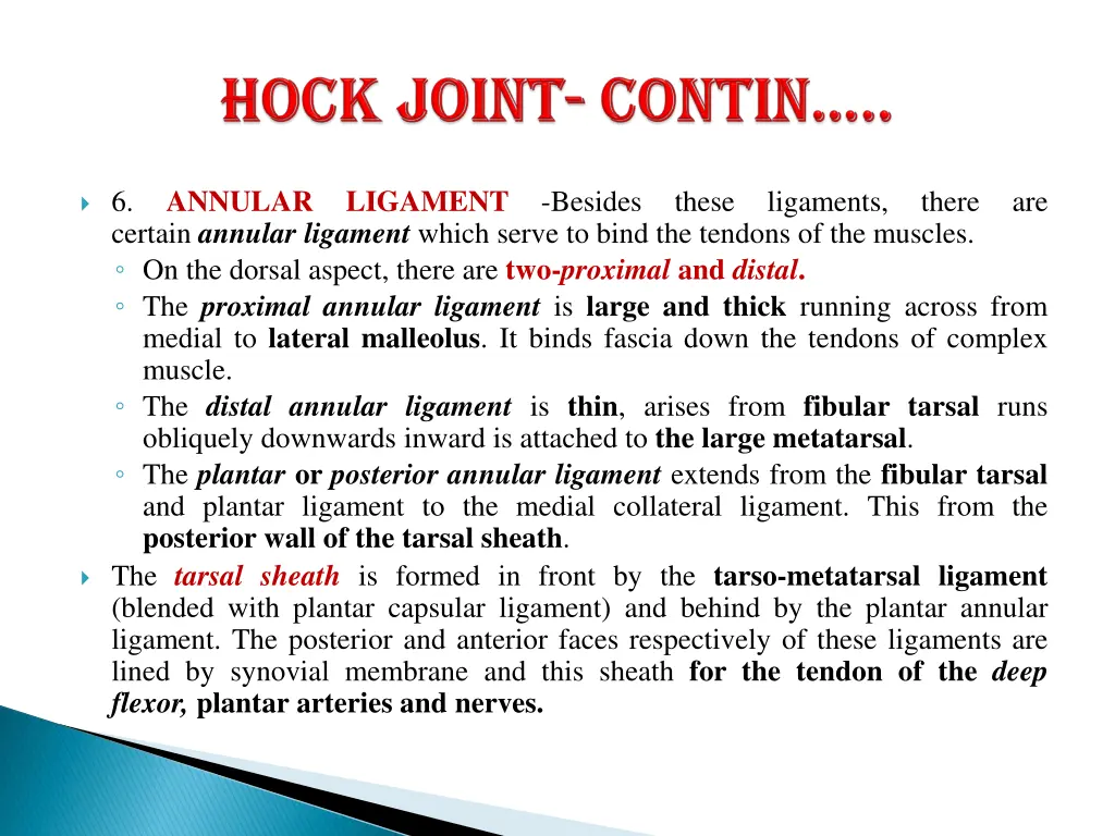 annular certain annular ligament which serve