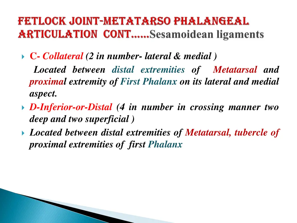 c collateral 2 in number lateral medial located