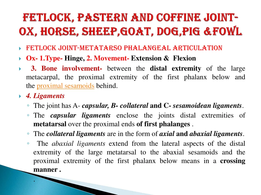 fetlock joint metatarso phalangeal articulation