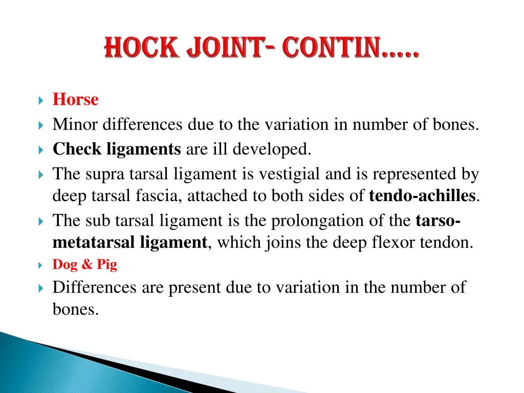 horse minor differences due to the variation