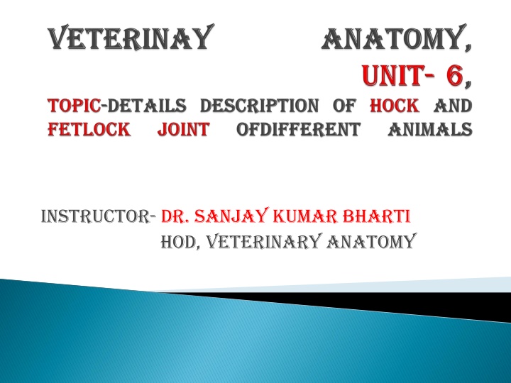 instructor dr sanjay kumar bharti hod veterinary