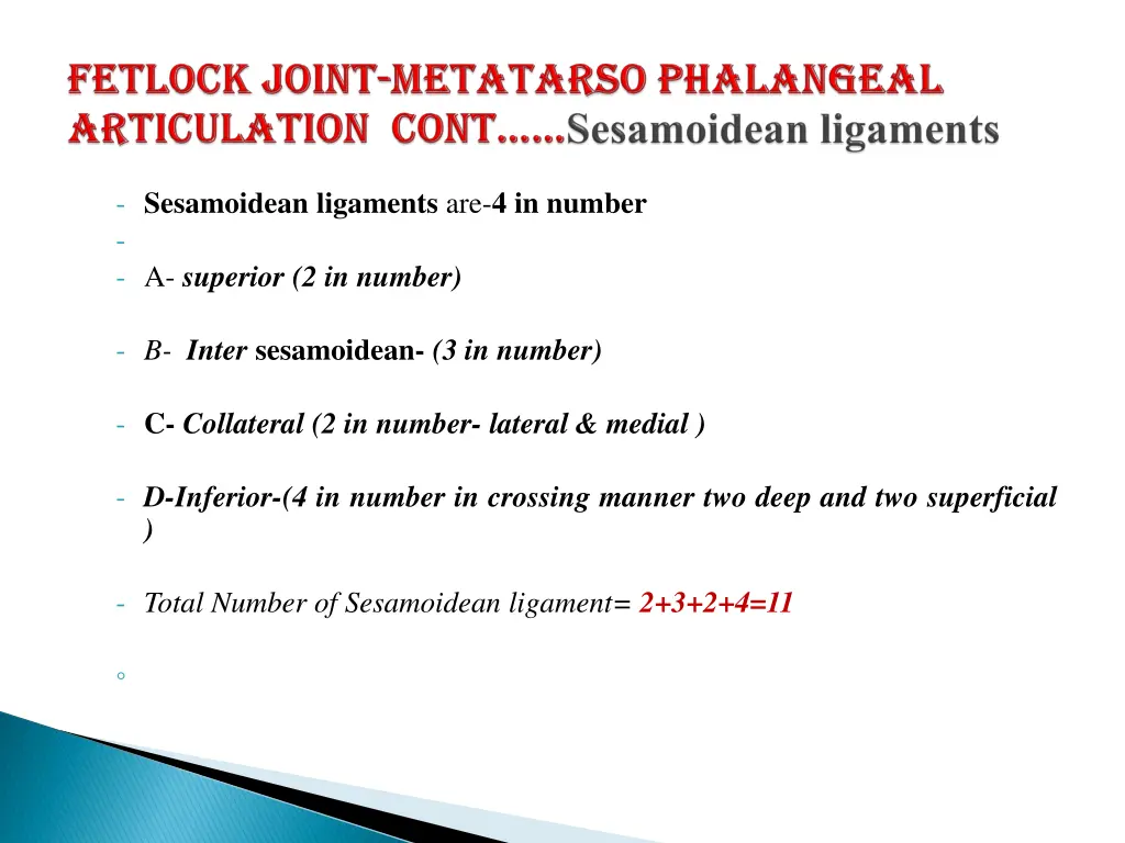 sesamoidean ligaments are 4 in number a superior