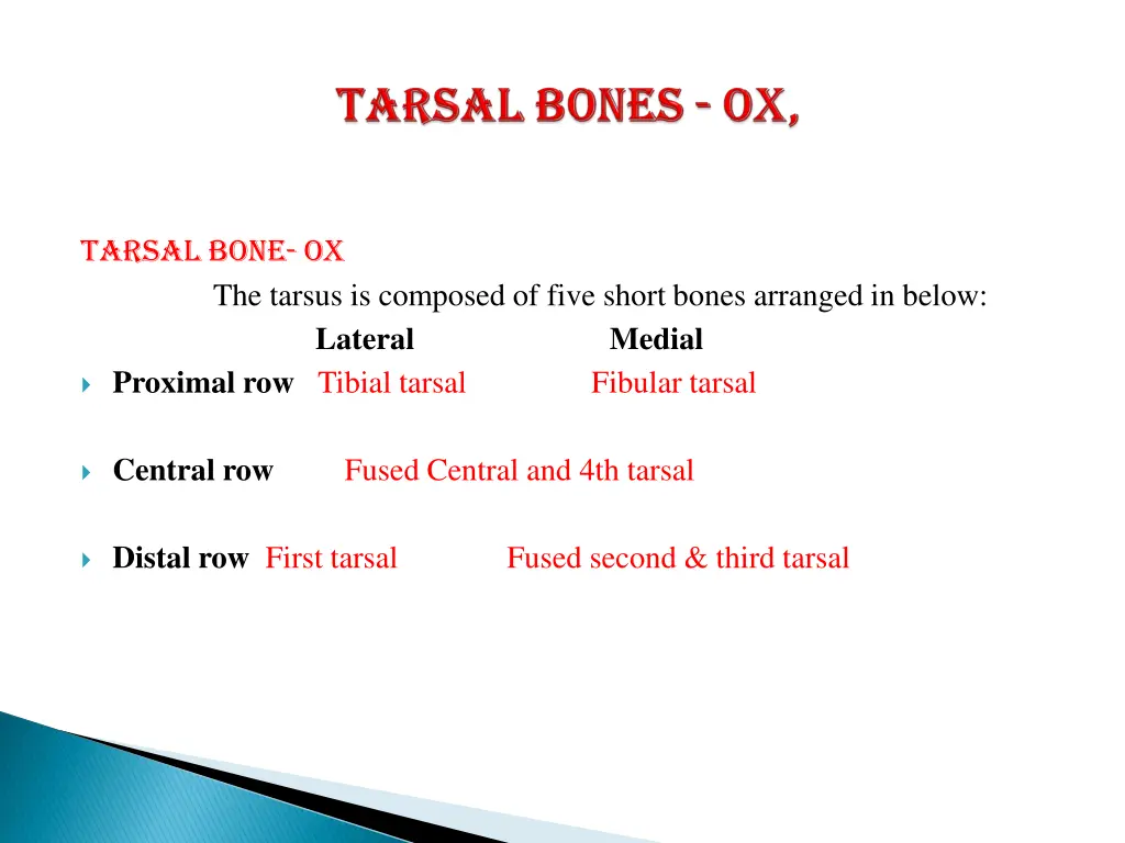 tarsal bone ox the tarsus is composed of five