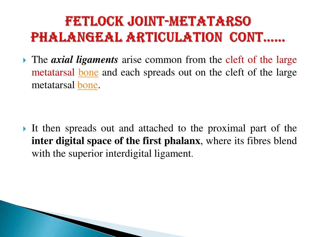 the axial ligaments arise common from the cleft