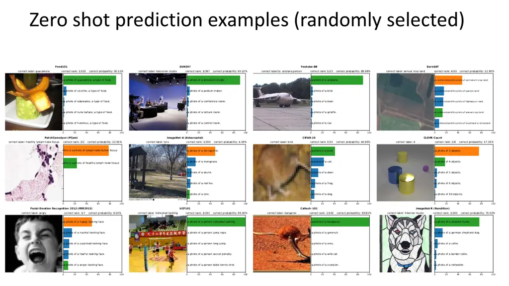 zero shot prediction examples randomly selected