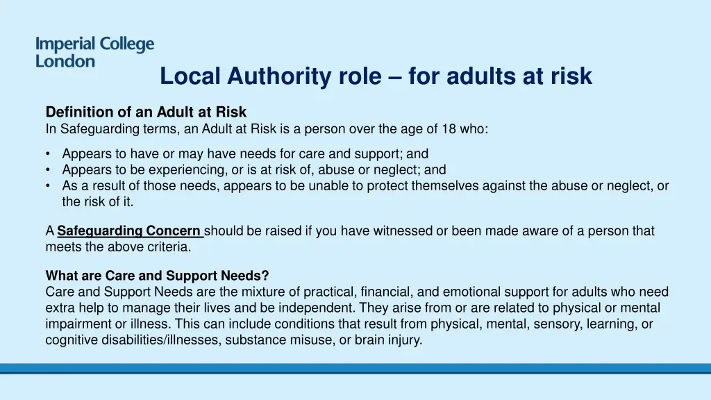 local authority role for adults at risk