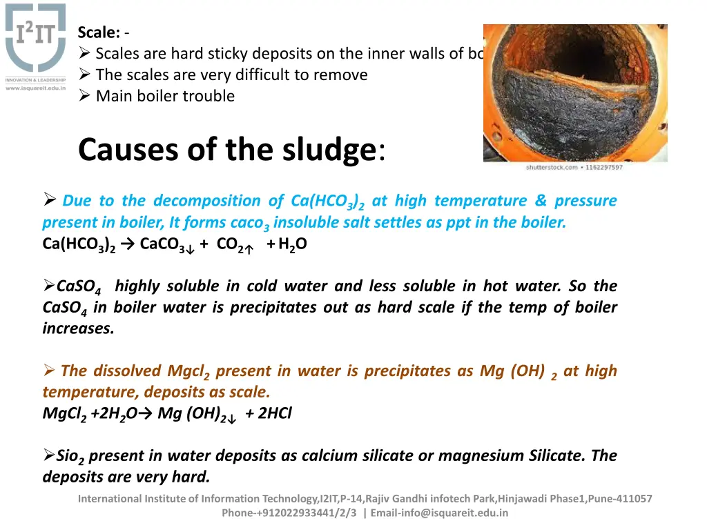 scale scales are hard sticky deposits